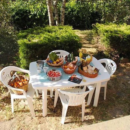 Il Gelsomino Del Perugino Holiday home *